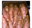 Sweet potato