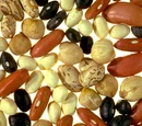 Legumes and Nuts