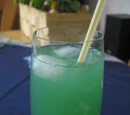 Mer du Sud