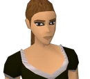 Maid