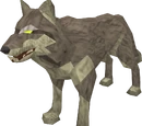 Fenris wolf
