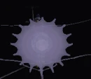 Spider Realm