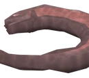 Vile fish