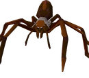 Huge spider