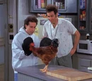 Little Jerry