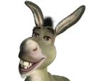 Donkey (species)