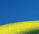 Shrek Forever After