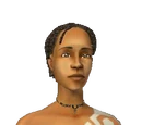 Wanmami Island Sims