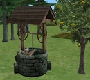 Wishing well