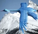Great blue windrunner