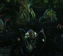 Evolution pit