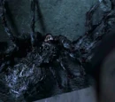 Giant spider