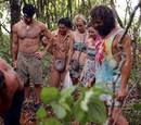Pick a Castaway... Any Castaway