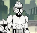 Confederate Clone Trooper