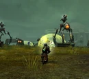 Plains