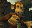 Monkey