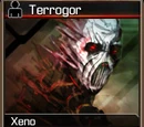 Terrogor