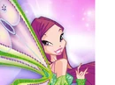 Roxy 1.png