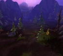 The Regrowth