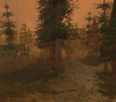 Western Plaguelands