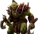 Orc