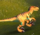Highland Fleshstalker