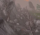 Spring Road