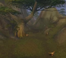 Raptor Ridge