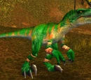 Young Jungle Stalker