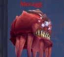 Moragg