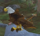 Imperial Eagle