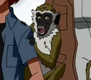 Monkey