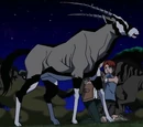 Oryx