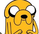Jake