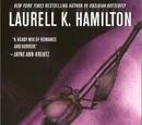 Guilty Pleasures (novel)