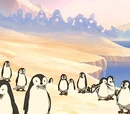 Otter penguin