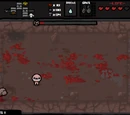 Bugs