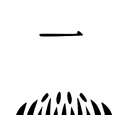 First Division