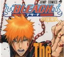 Bleach: Official Invitation Book The Hell Verse