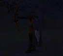 Fool's Bow
