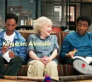 Anthropology Rap
