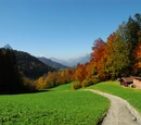 Trilfuva (province)