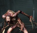 Slasher