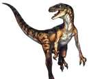 Velociraptor