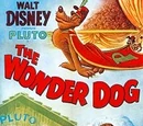 Wonder Dog