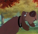 Trusty