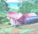 Animal Shelter