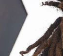 Jaden Smith