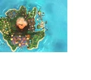 Donkey Kong Island