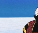 Mr. Popo